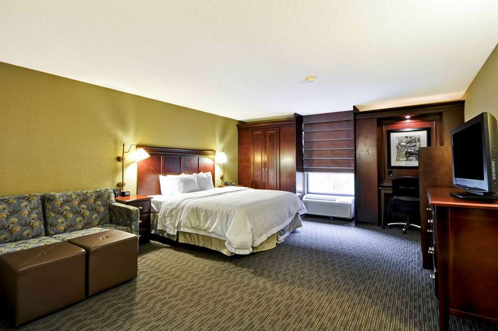 Hampton Inn Charlotte-Gastonia Pokoj fotografie